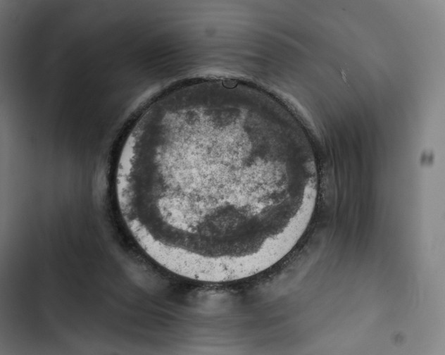 X0000102500208200809051353