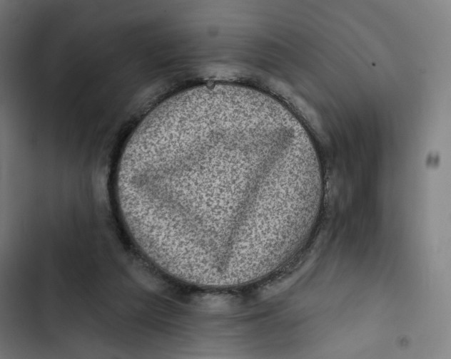 X0000102500209200809051353