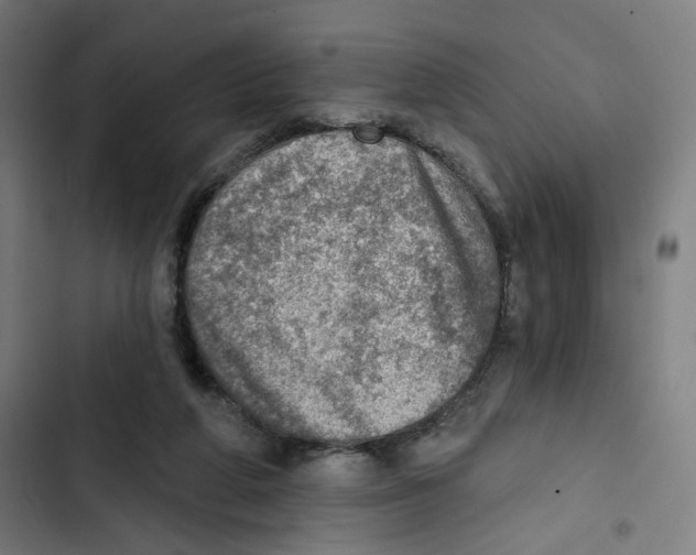 X0000102500210200809051353