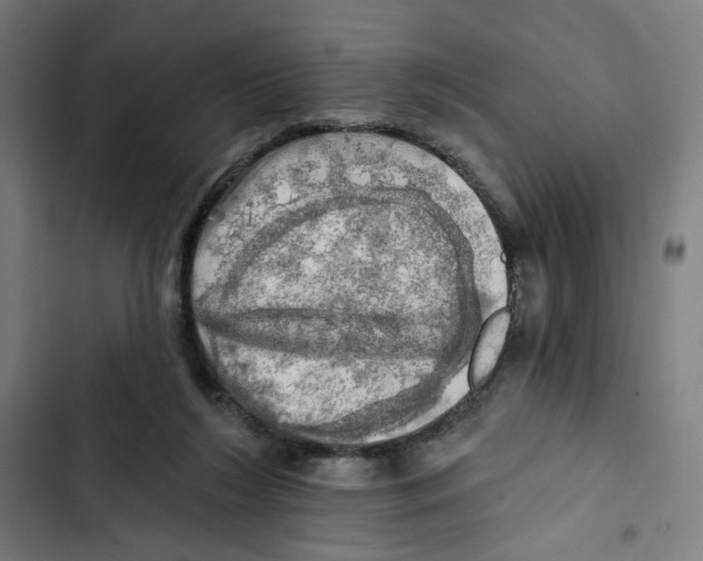 X0000102500212200809051353