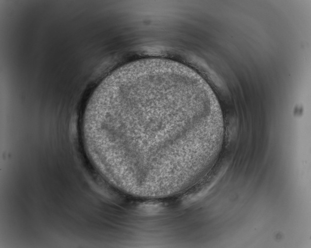 X0000102500213200809051353