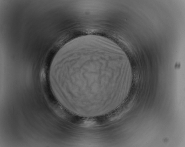 X0000102500214200809051353