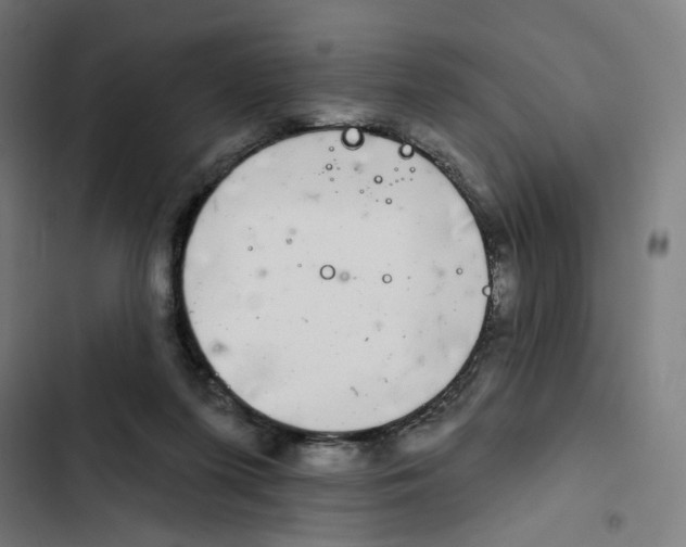 X0000102500215200809051353