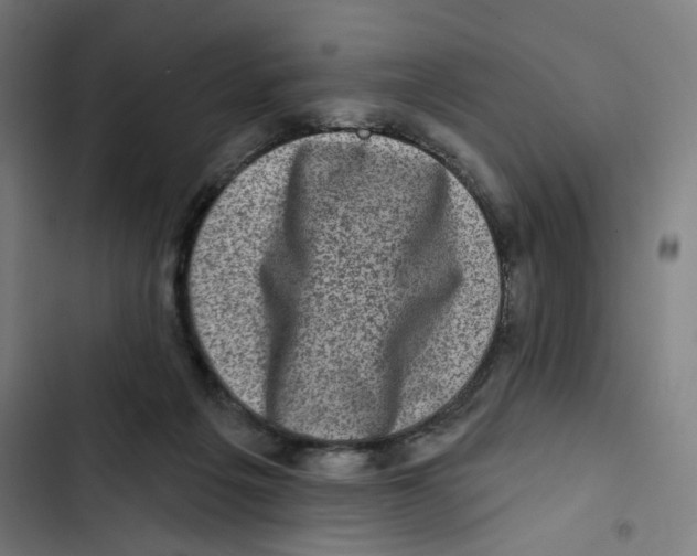 X0000102500217200809051353