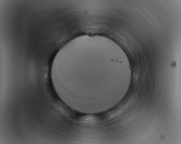 X0000102500219200809051353