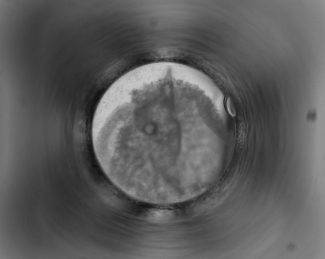 X0000102500220200809051353