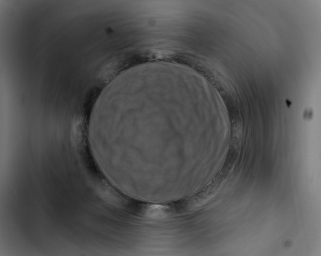 X0000102500222200809051353