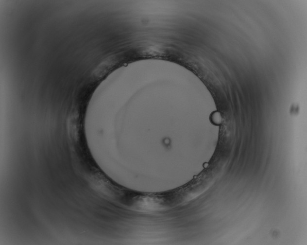 X0000102500223200809051353