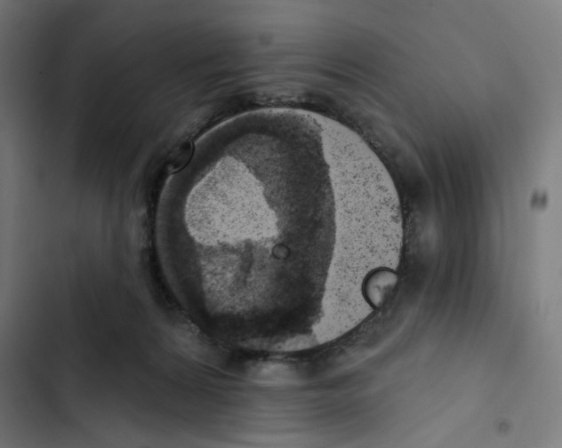 X0000102500224200809051353