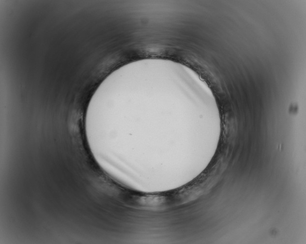 X0000102500225200809051353