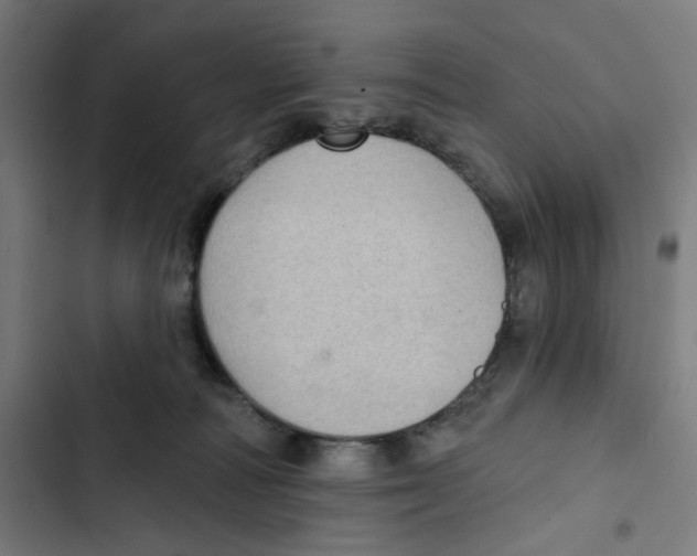 X0000102500226200809051353