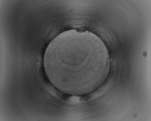 X0000102500227200809051353