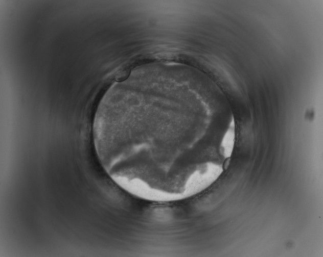 X0000102500228200809051353