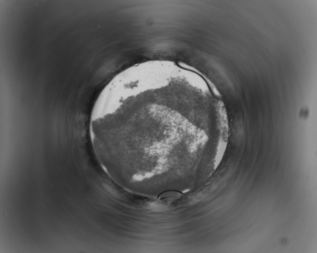 X0000102500232200809051353