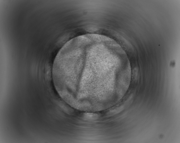 X0000102500234200809051353