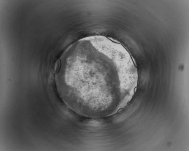 X0000102500236200809051353