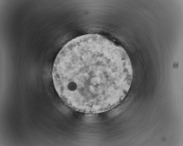 X0000102500240200809051353