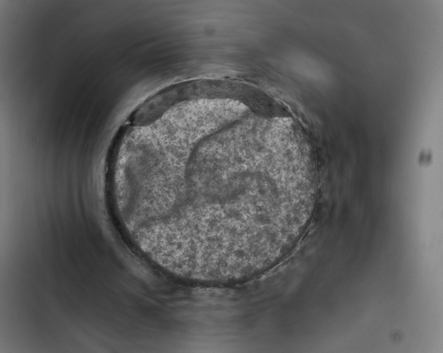 X0000102500242200809051352