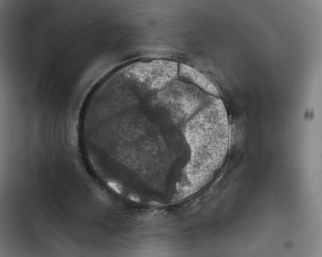 X0000102500243200809051352