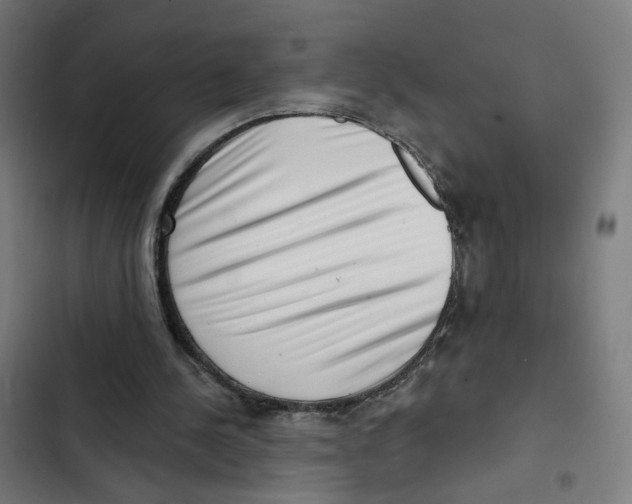 X0000102500244200809051352