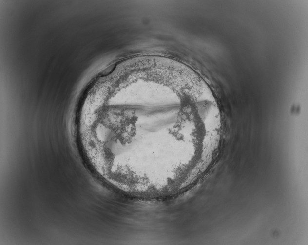 X0000102500245200809051352