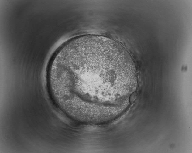 X0000102500246200809051352