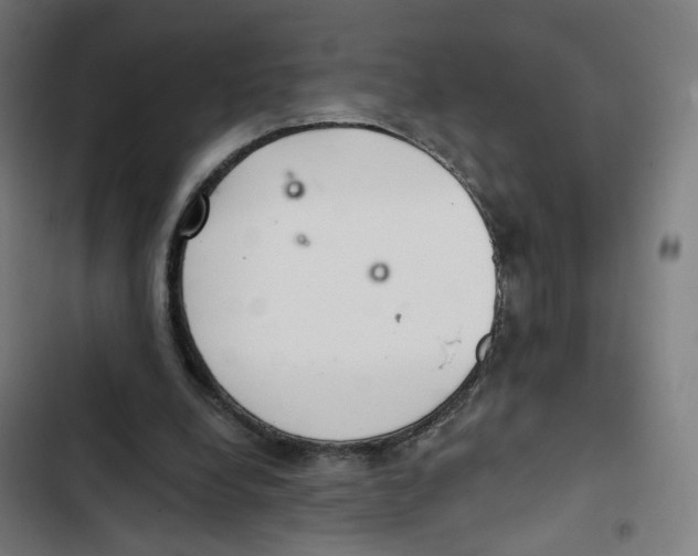 X0000102500248200809051352