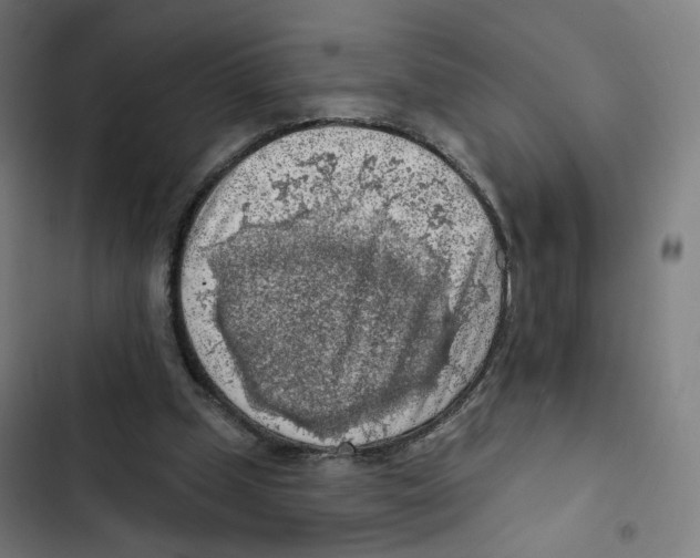 X0000102500249200809051352