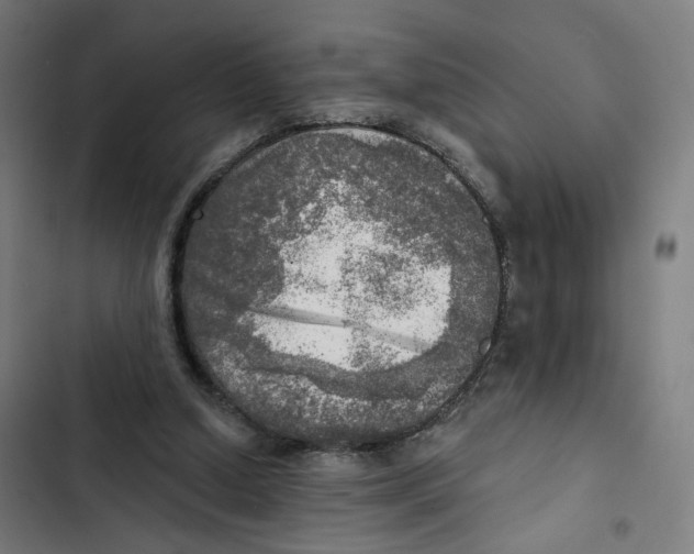 X0000102500250200809051352