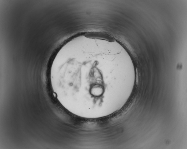 X0000102500252200809051352