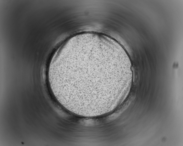 X0000102500253200809051352