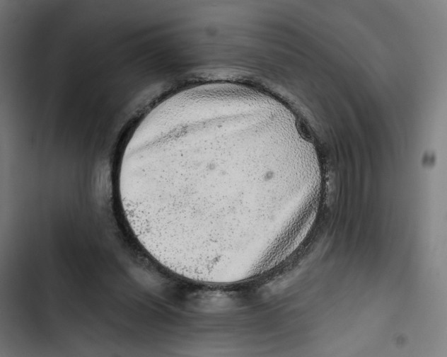 X0000102500254200809051352