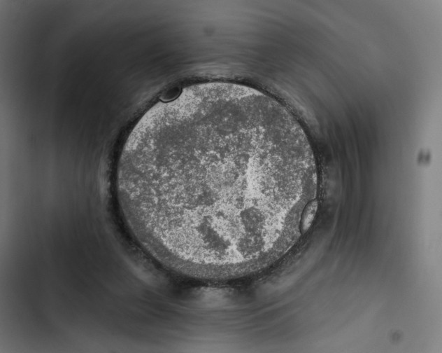 X0000102500255200809051352