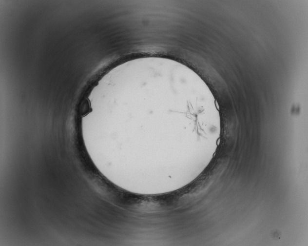 X0000102500256200809051352