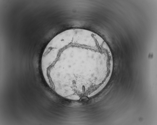 X0000102500257200809051352