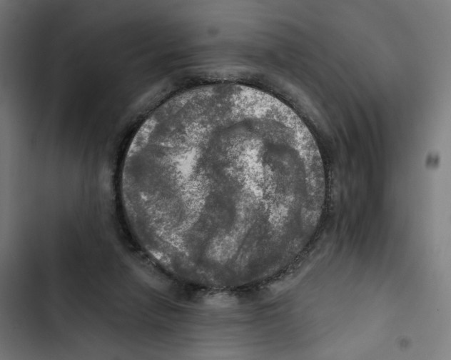 X0000102500258200809051352