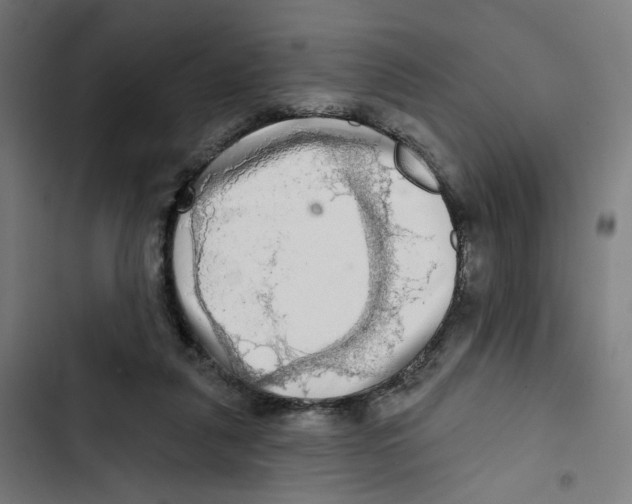 X0000102500259200809051352