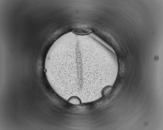 X0000102500260200809051352