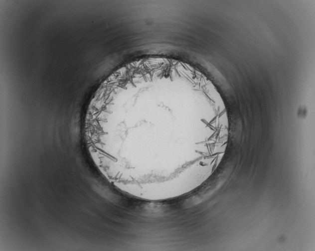 X0000102500261200809051352