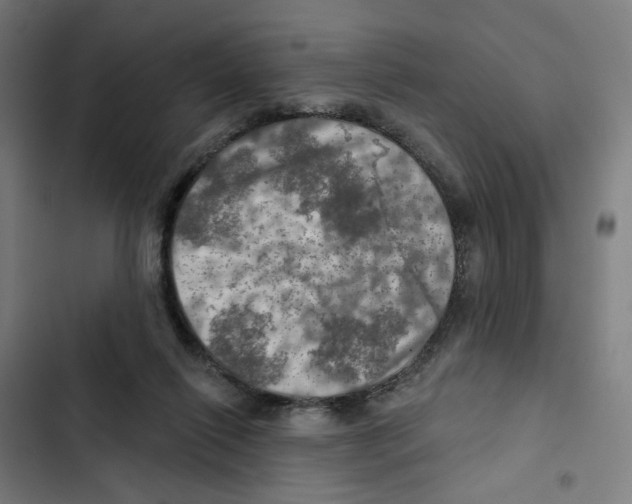 X0000102500262200809051353