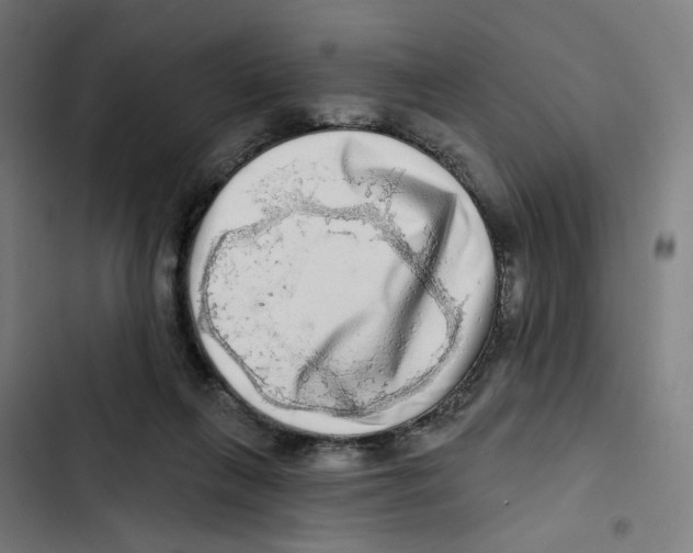 X0000102500263200809051353