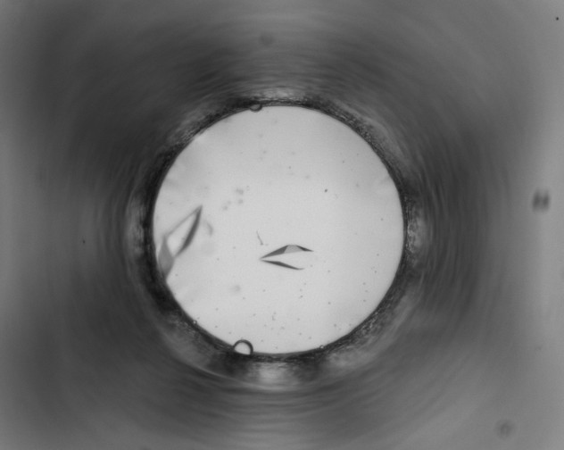 X0000102500264200809051353