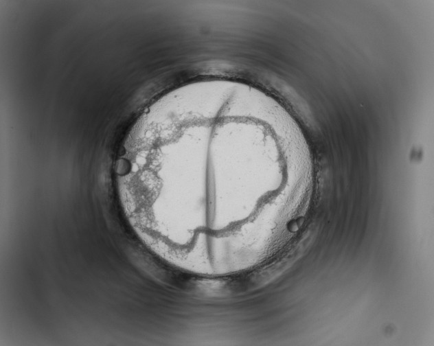 X0000102500265200809051353