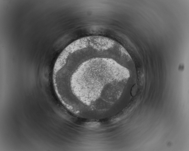 X0000102500266200809051353