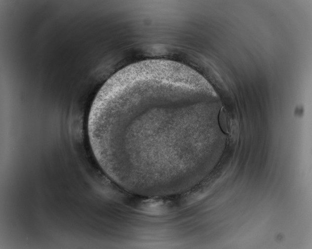 X0000102500267200809051353