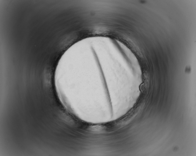 X0000102500269200809051353