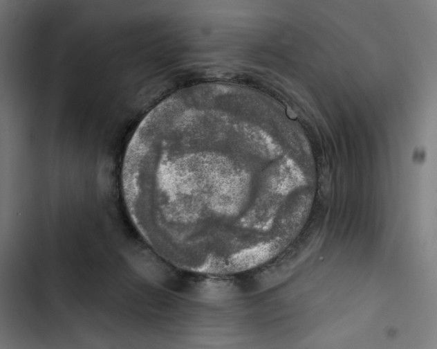 X0000102500270200809051353