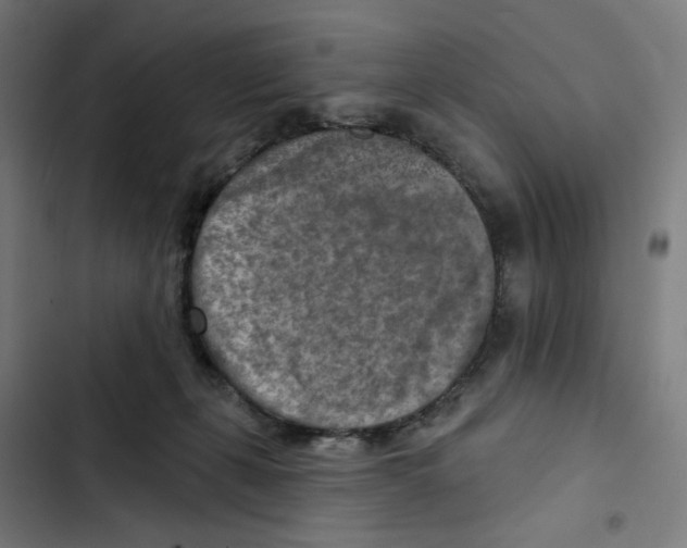 X0000102500271200809051353