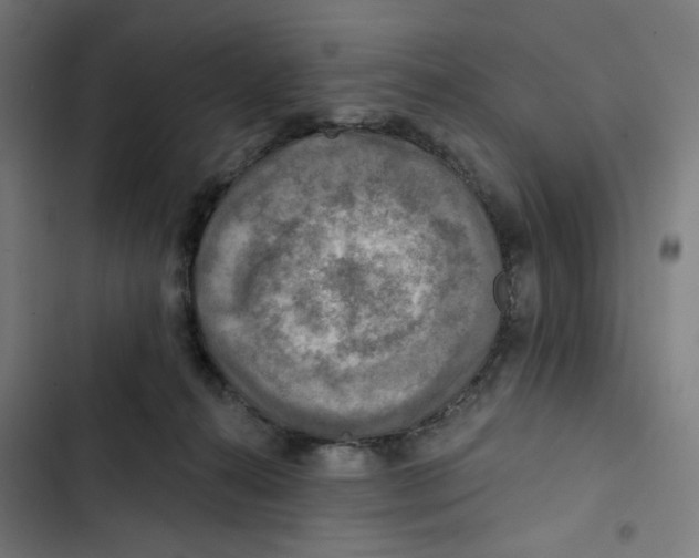 X0000102500272200809051353