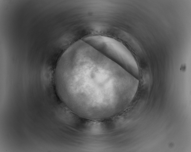 X0000102500276200809051353